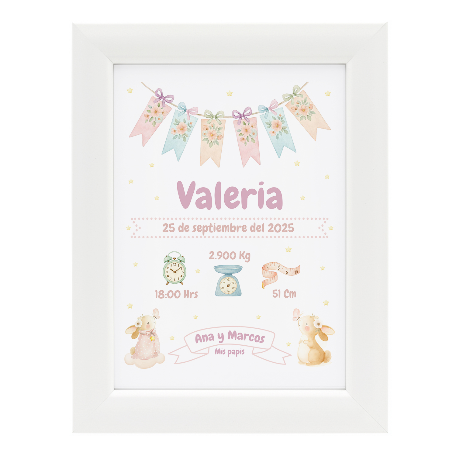 lamina-natalicia-conejo-rosa-nina-bebe-nacimiento